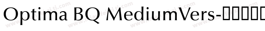 Optima BQ MediumVers字体转换